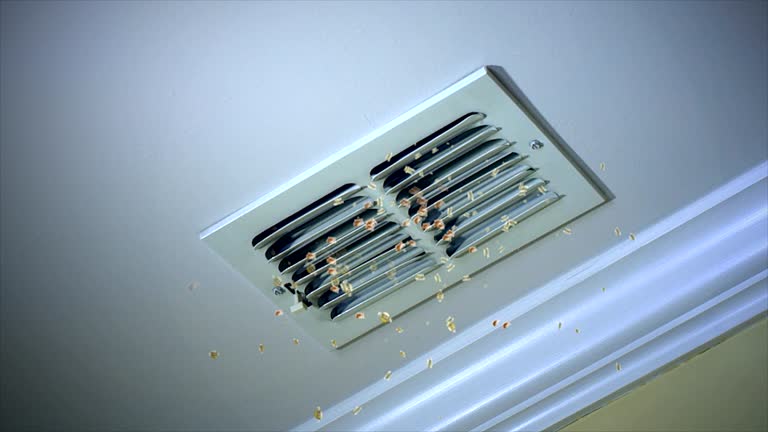 Best Ductwork Cleaning Services  in White Plains, NY