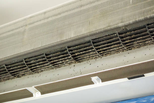 Air Duct Mold Removal in NY